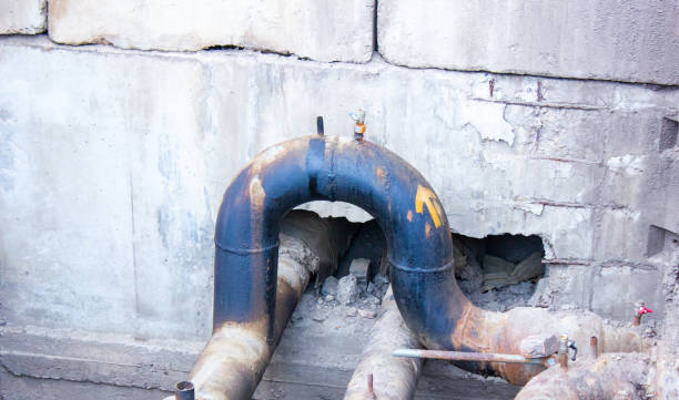 Best Mold removal after water damage  in Smiths Station, AL